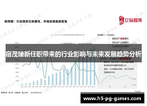 宿茂臻新任职带来的行业影响与未来发展趋势分析