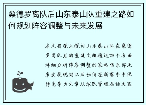 桑德罗离队后山东泰山队重建之路如何规划阵容调整与未来发展