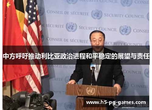 中方呼吁推动利比亚政治进程和平稳定的展望与责任