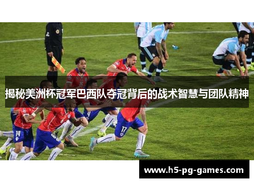 揭秘美洲杯冠军巴西队夺冠背后的战术智慧与团队精神