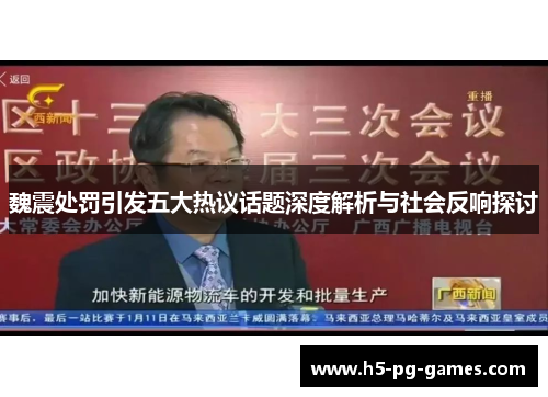 魏震处罚引发五大热议话题深度解析与社会反响探讨